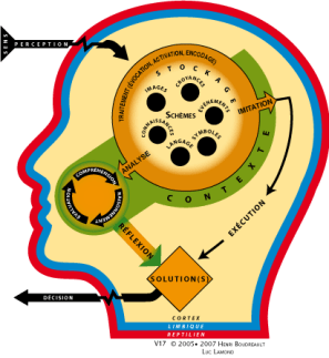 affmec-app19 affmec-app19