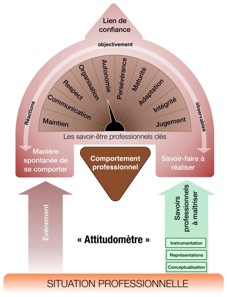 Comportement professionnel